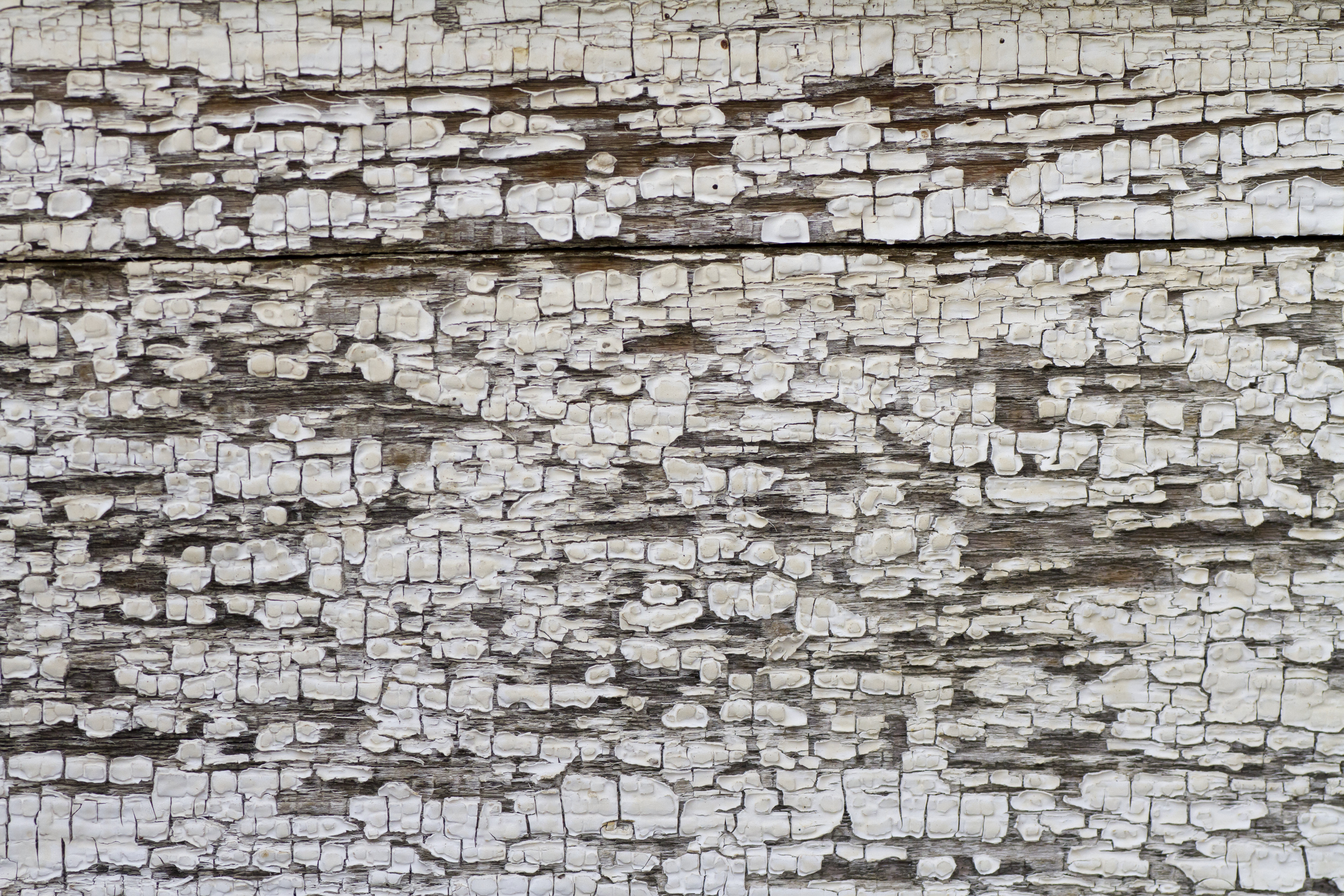 Texture : Peeling paint on old homestead [2 of 5]