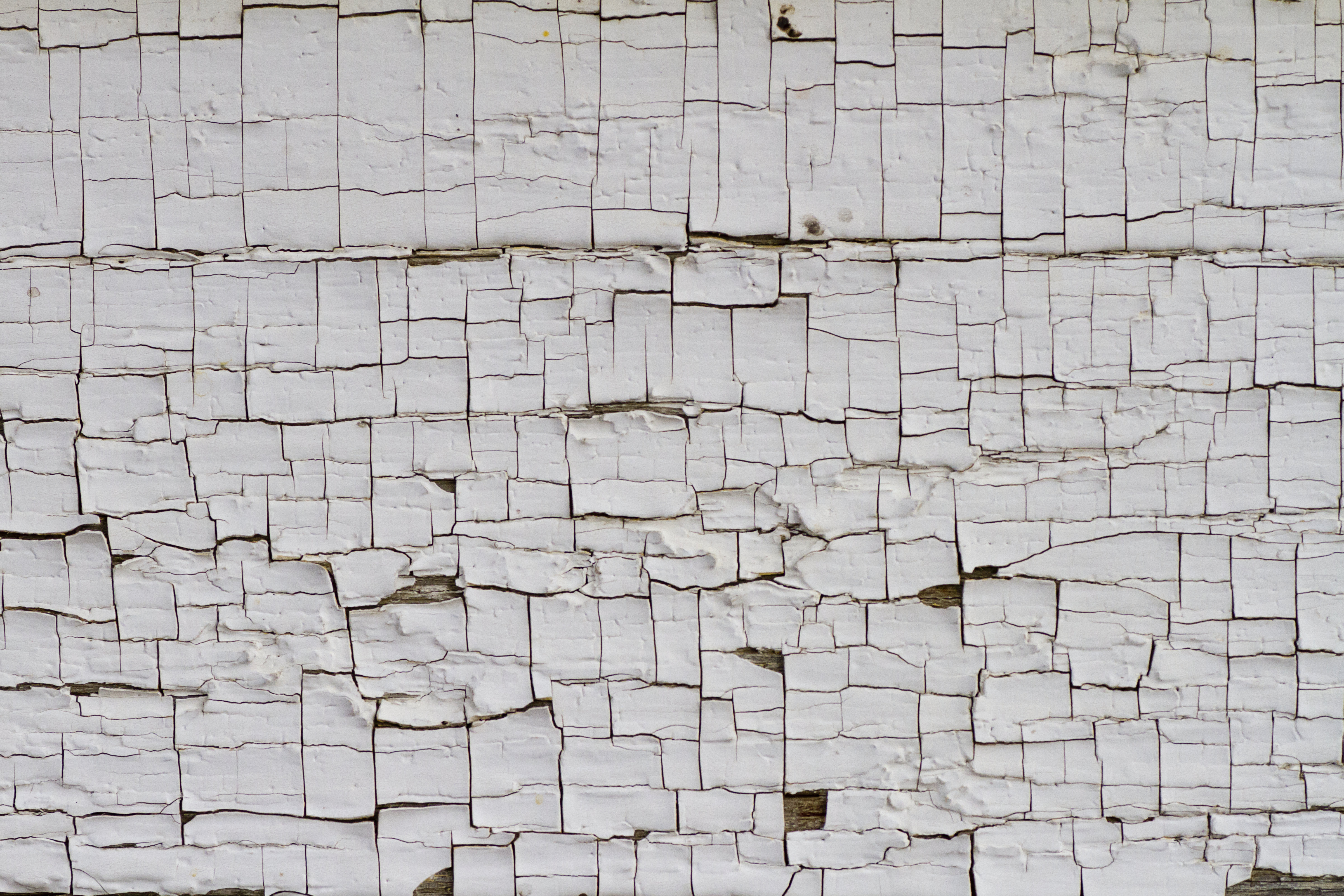 Texture : Peeling paint on old homestead [1 of 5]