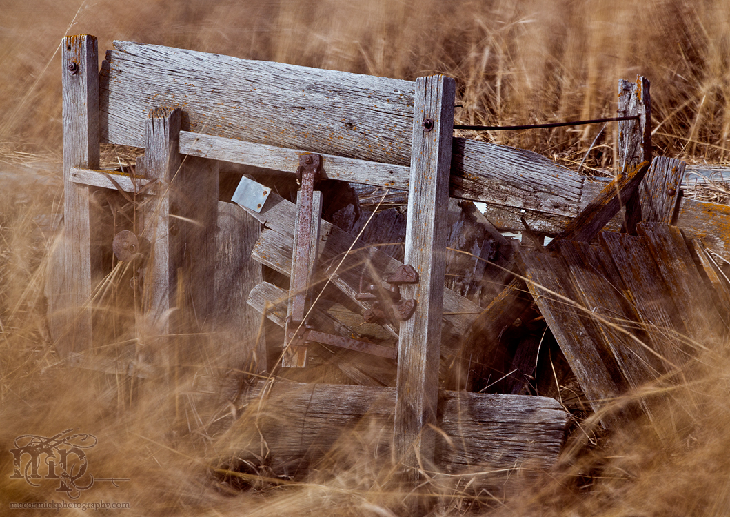 Bits of collapsed shed surrounded by windswept grass
