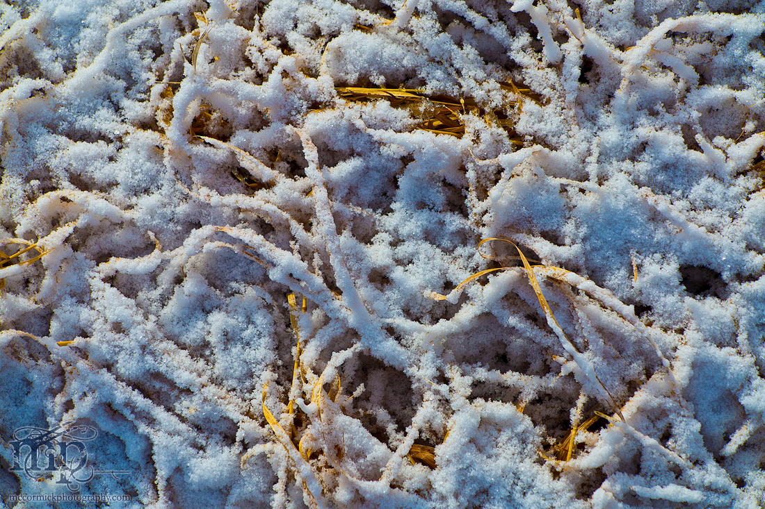 Colour temperatures differences in grass after snowfall [2 of 2]