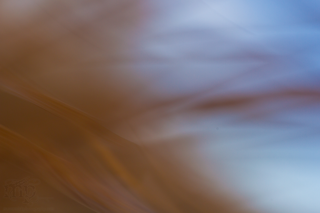 Pain in the grass [8 of 8]
