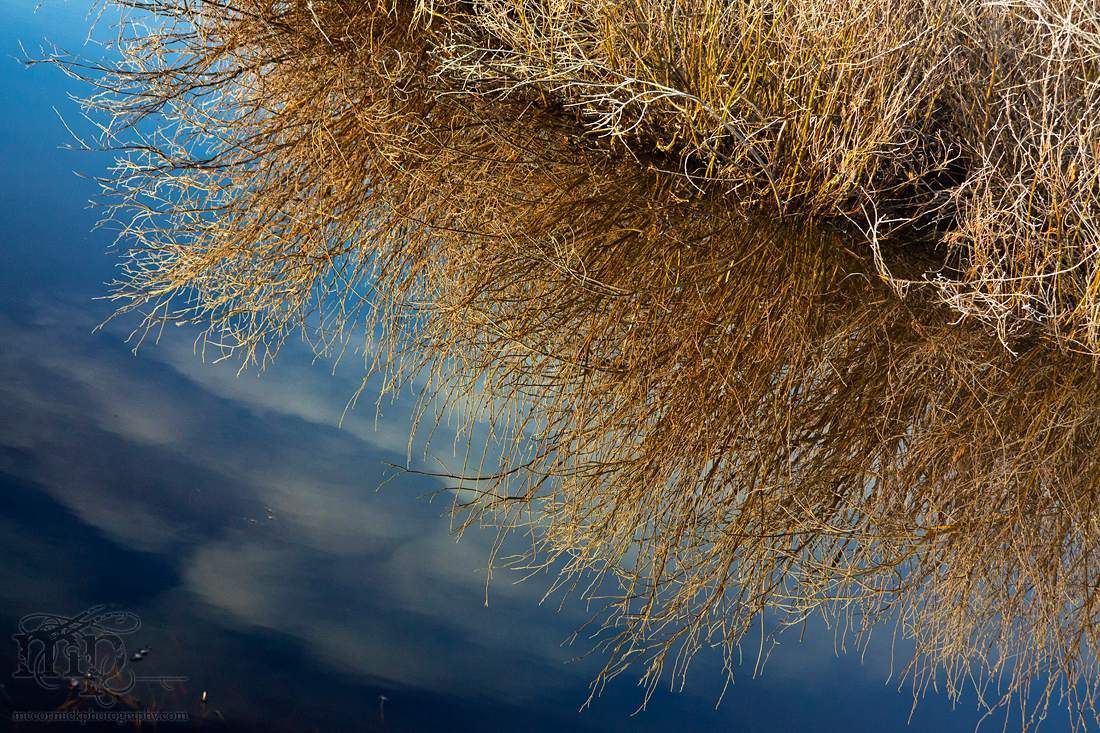 Spring 2012: Brown and wet beats brown and frozen