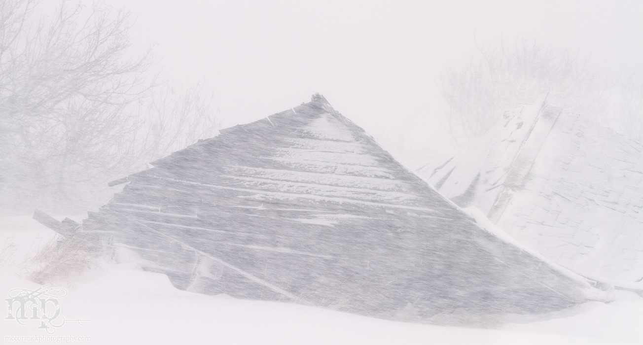 Mar 19, 2012 Blizzard: Collapsed chicken coop