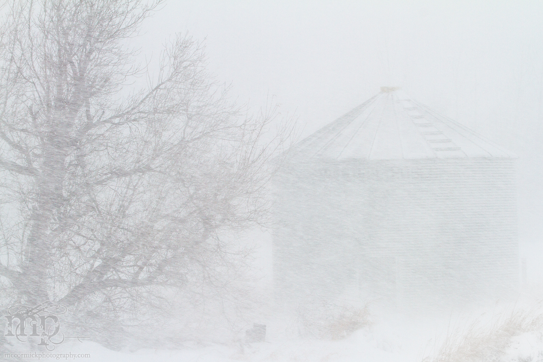 Mar 19, 2012 Blizzard: Bin there, drifted that