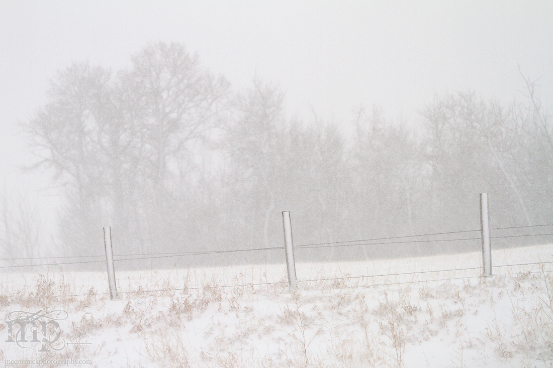 Mar 19, 2012 Blizzard: Frozen fence.