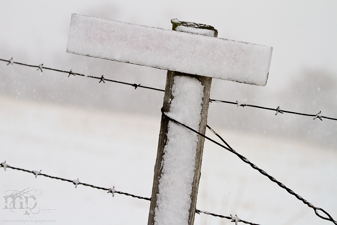 Mar 19, 2012 Blizzard: Organic Bland