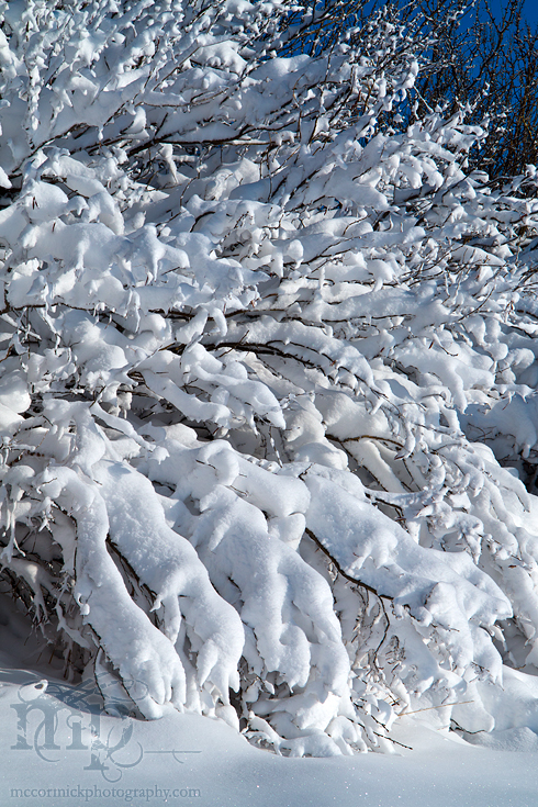 Mar 19 2012 Blizzard Aftermath [5 of 6]