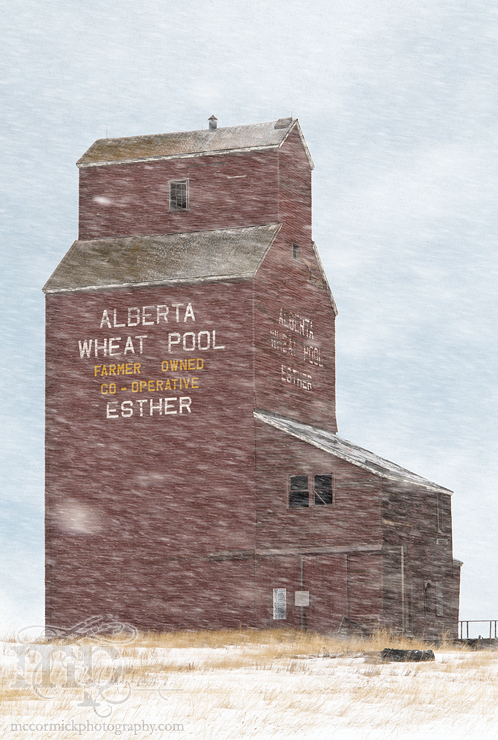 Esther Elevator in Snow Squall, Mar 23, 2012