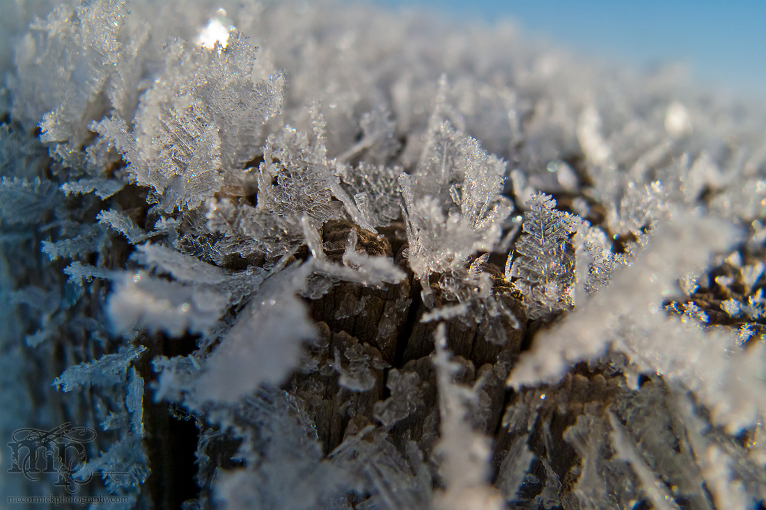 Post Traumatic Frost Disorder