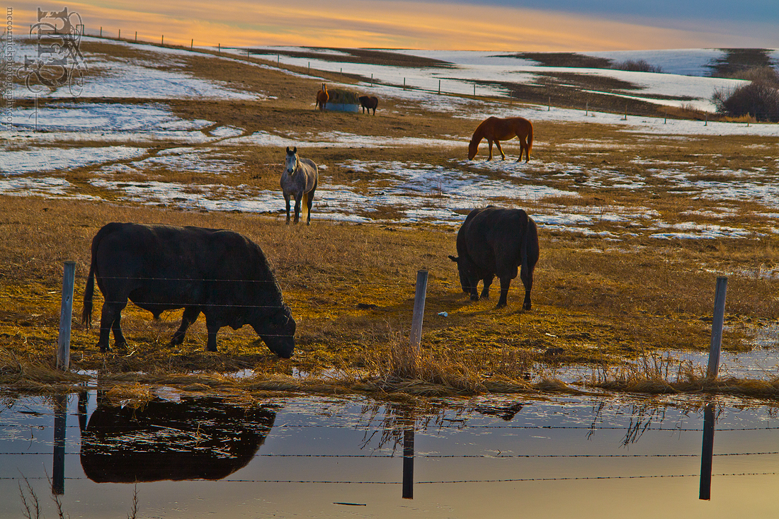Dusk, Mar 29, 2012: Roadside Vignette