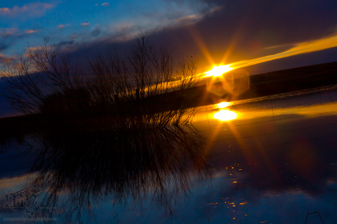 Mar 30, 2012: Sunset Over Slough