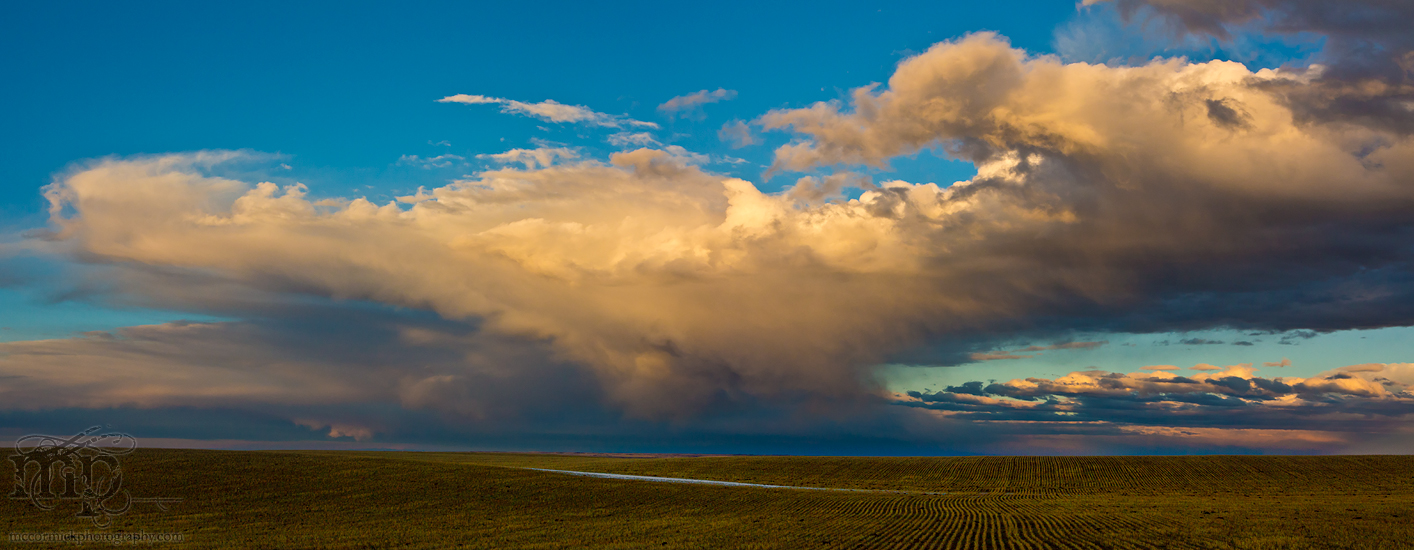 Dusk, Mar 30, 2012: Skylife Over Stubble