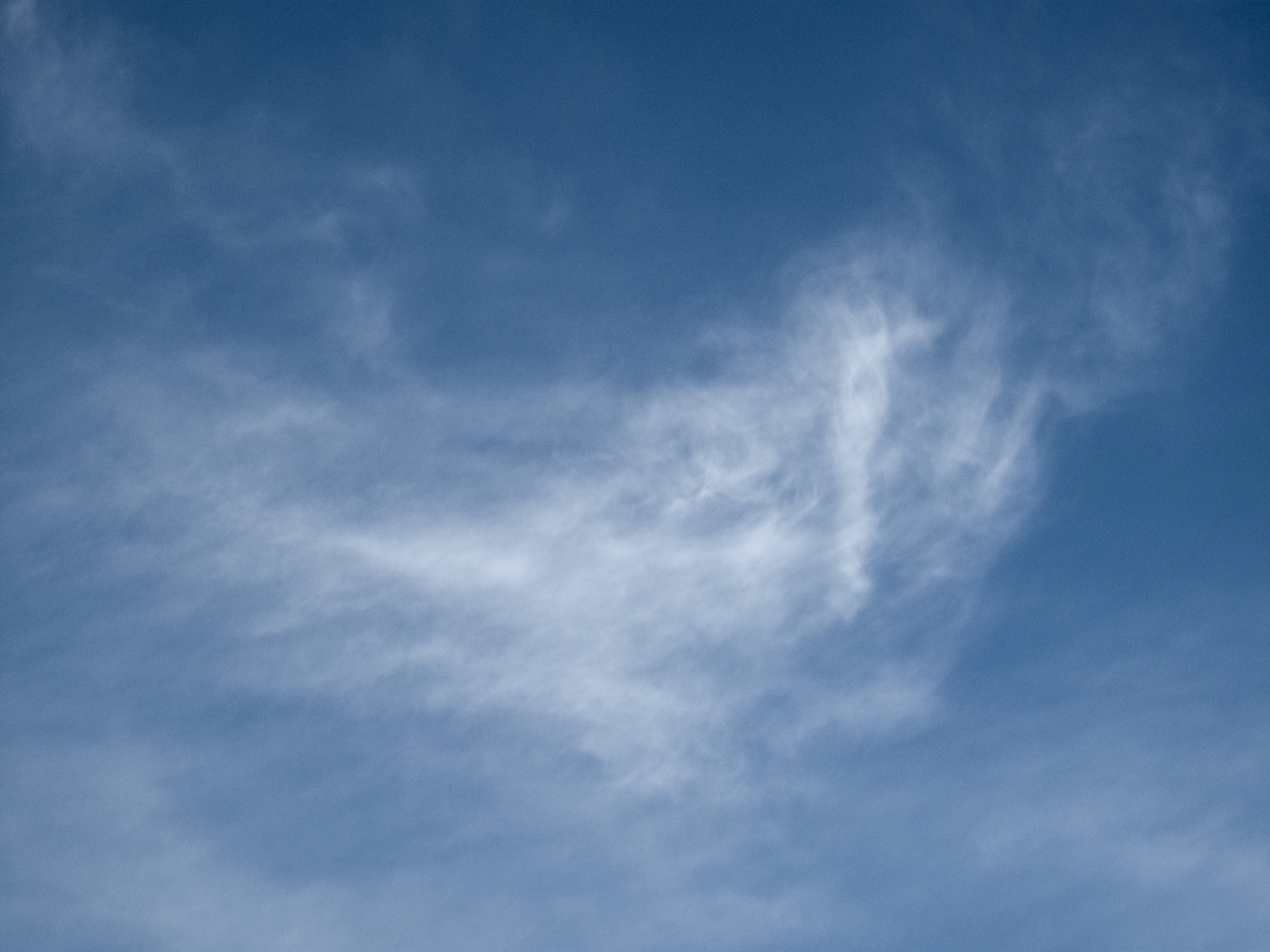 Texture : Alberta Skies [10 of 17]