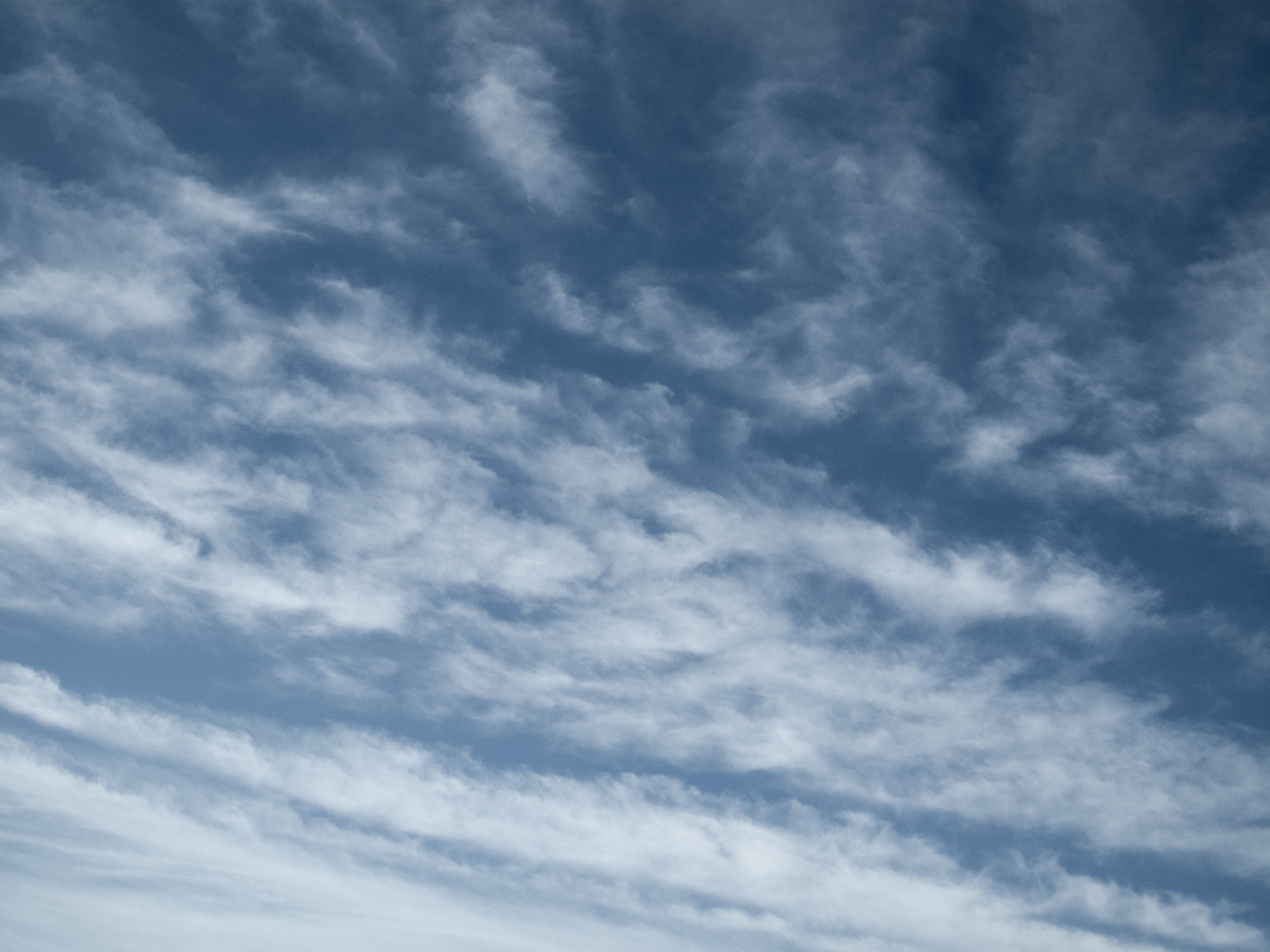 Texture : Alberta Skies [5 of 17]