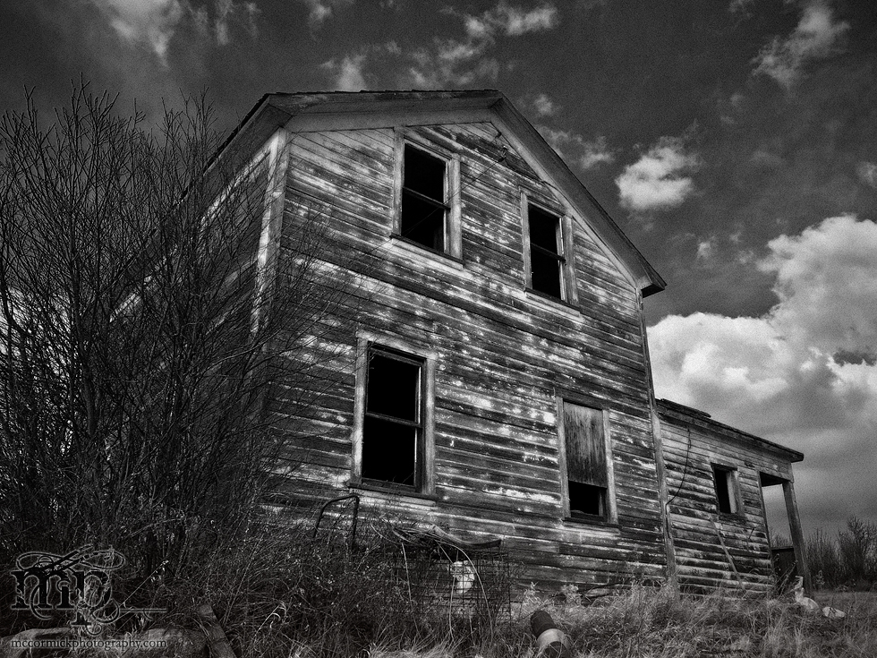 The Hidden Homestead
