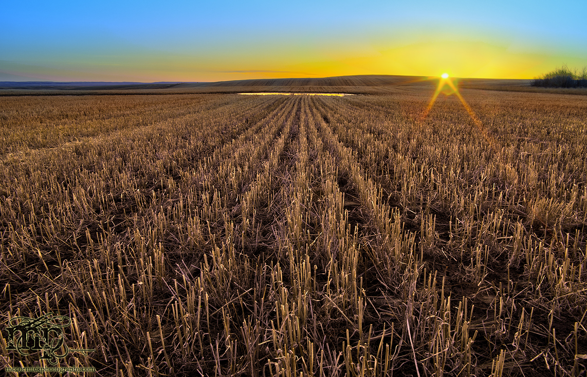 Sunset, Apr 09, 2012: Looking west toward the Oxamitny's