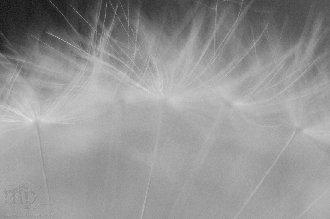 12³ / 2012-06-22 / 06