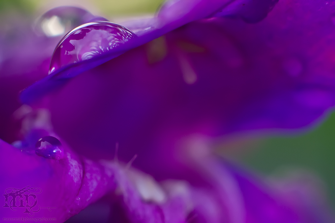 12³ / 2012-06-22 / 05