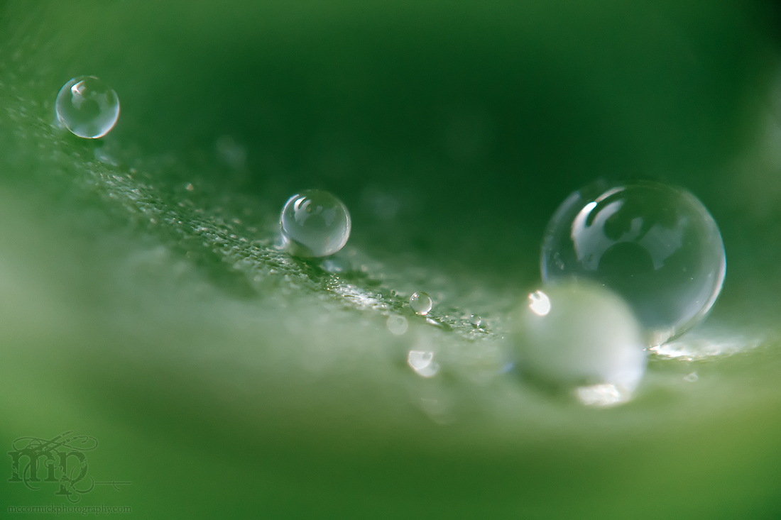 Surface Tension