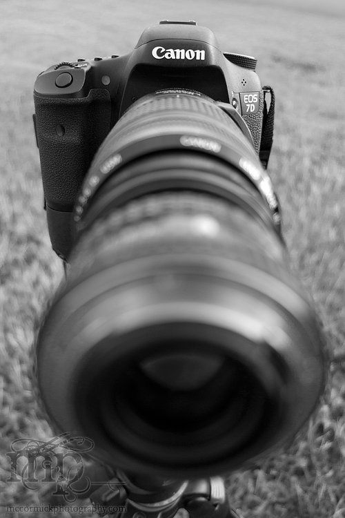 Canon EOS 7D w/reversed lens [2 of 2]