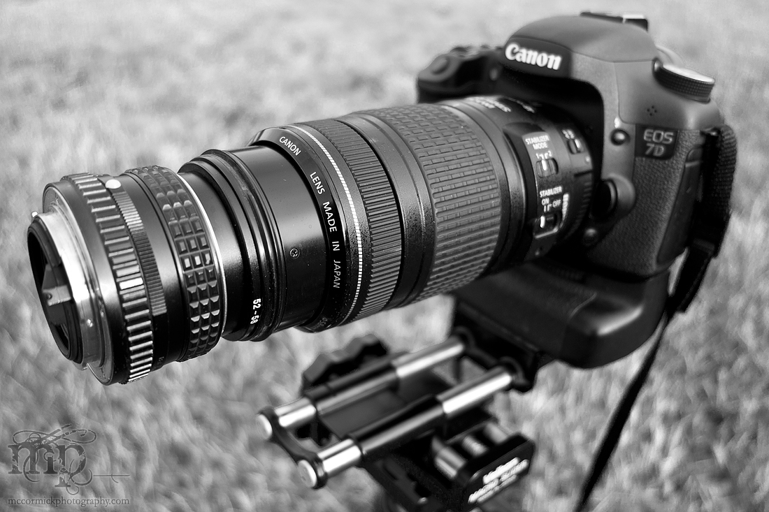 Canon EOS 7D w/reversed lens [1 of 2]
