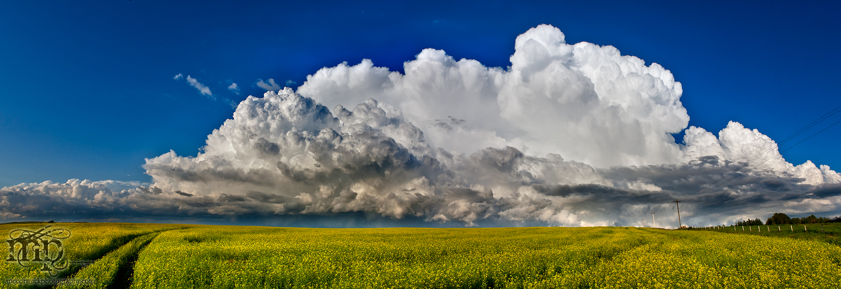 2012-07-23: Cumulonimbistic Canola