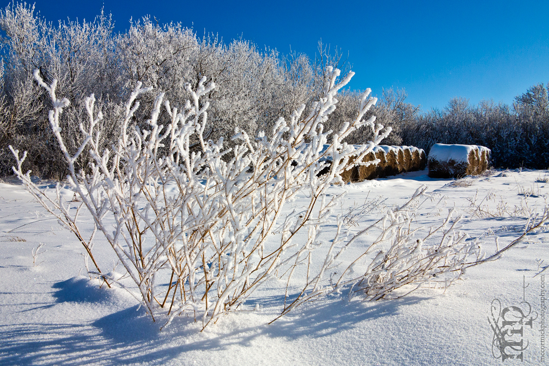 First Hoar Frost of the Winter, 2 of 2