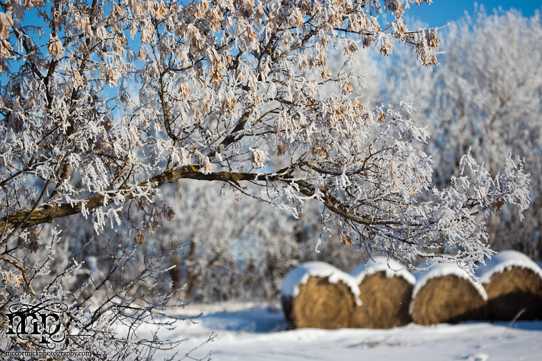 5DMkIII Testing: Baleful