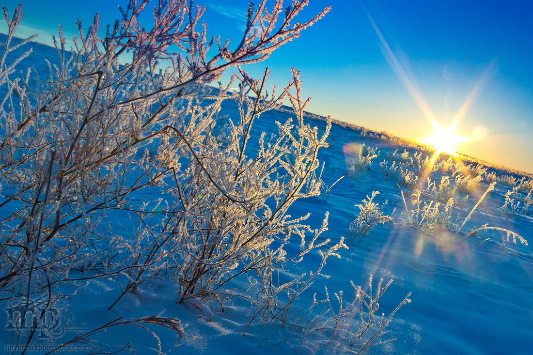 Sunrise, Nov 15, 2012 [1 of 3]