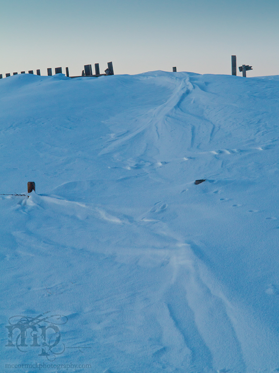 Snow Fence x2