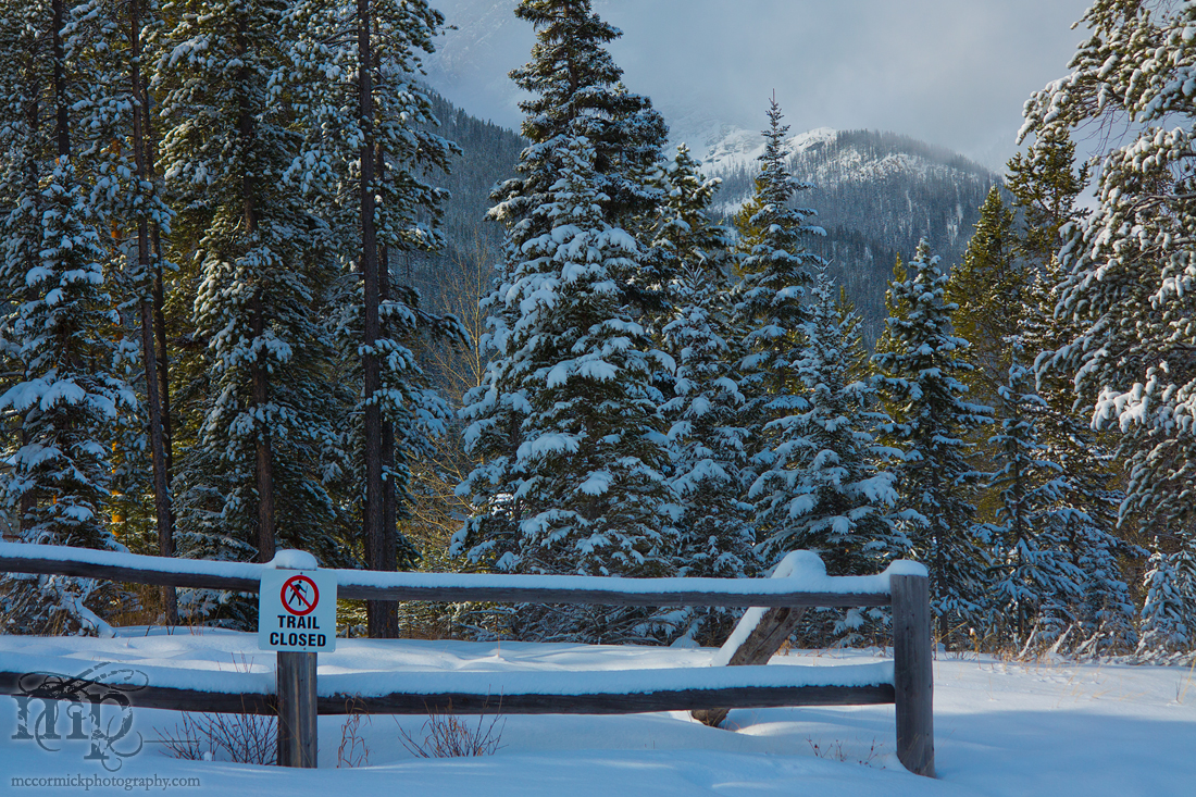 2013-03-04 Canmore AB: Trail Closed [2 of 2]