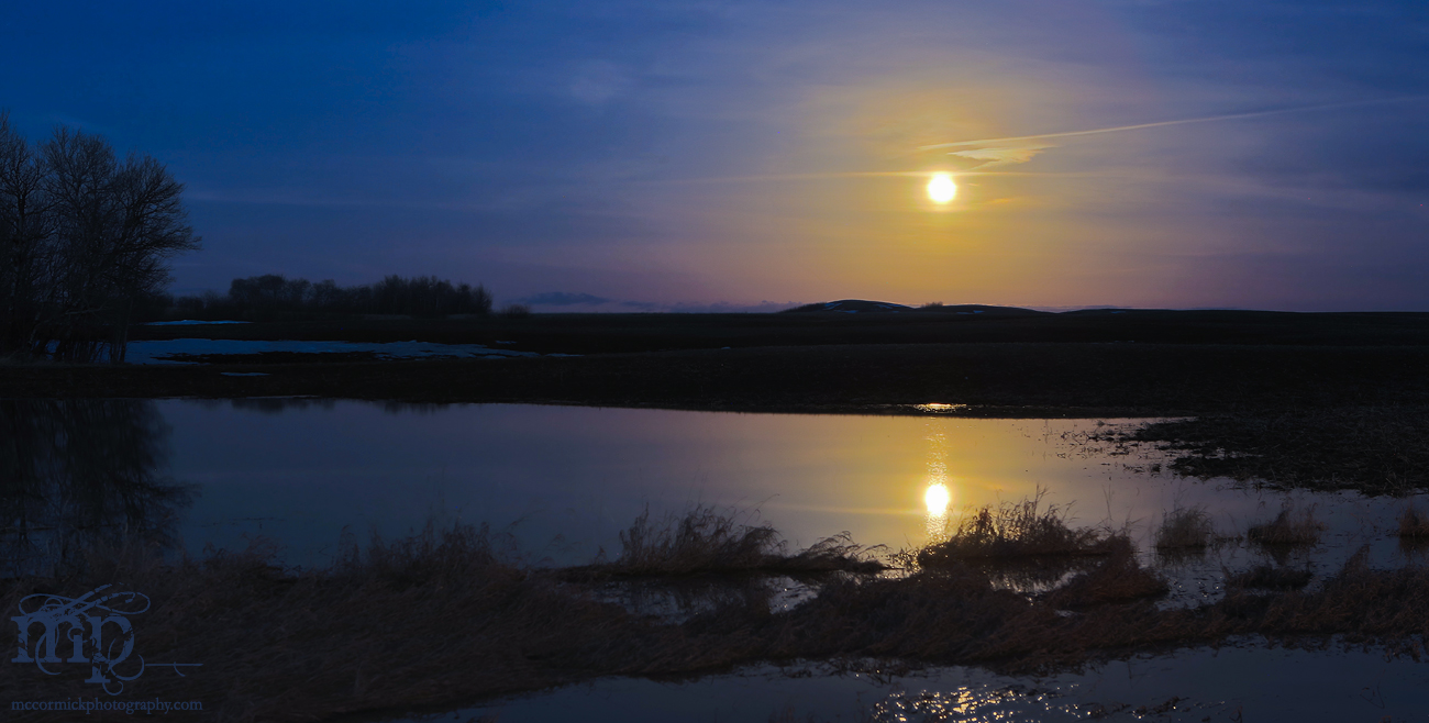 Spring Moon 2013