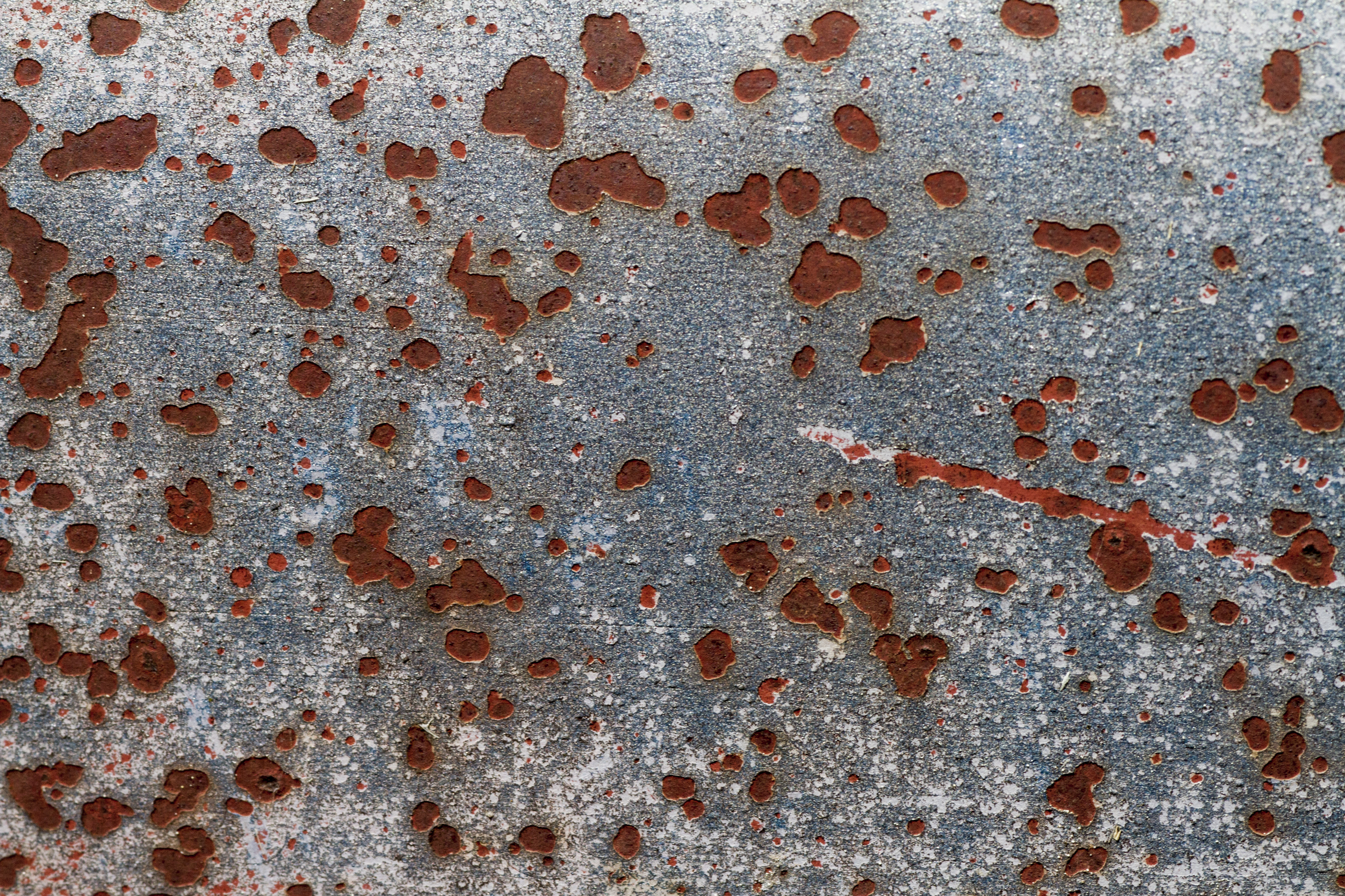 Texture : Canada Day Weekend 2013 : Misc Vehicles [4 of 23]