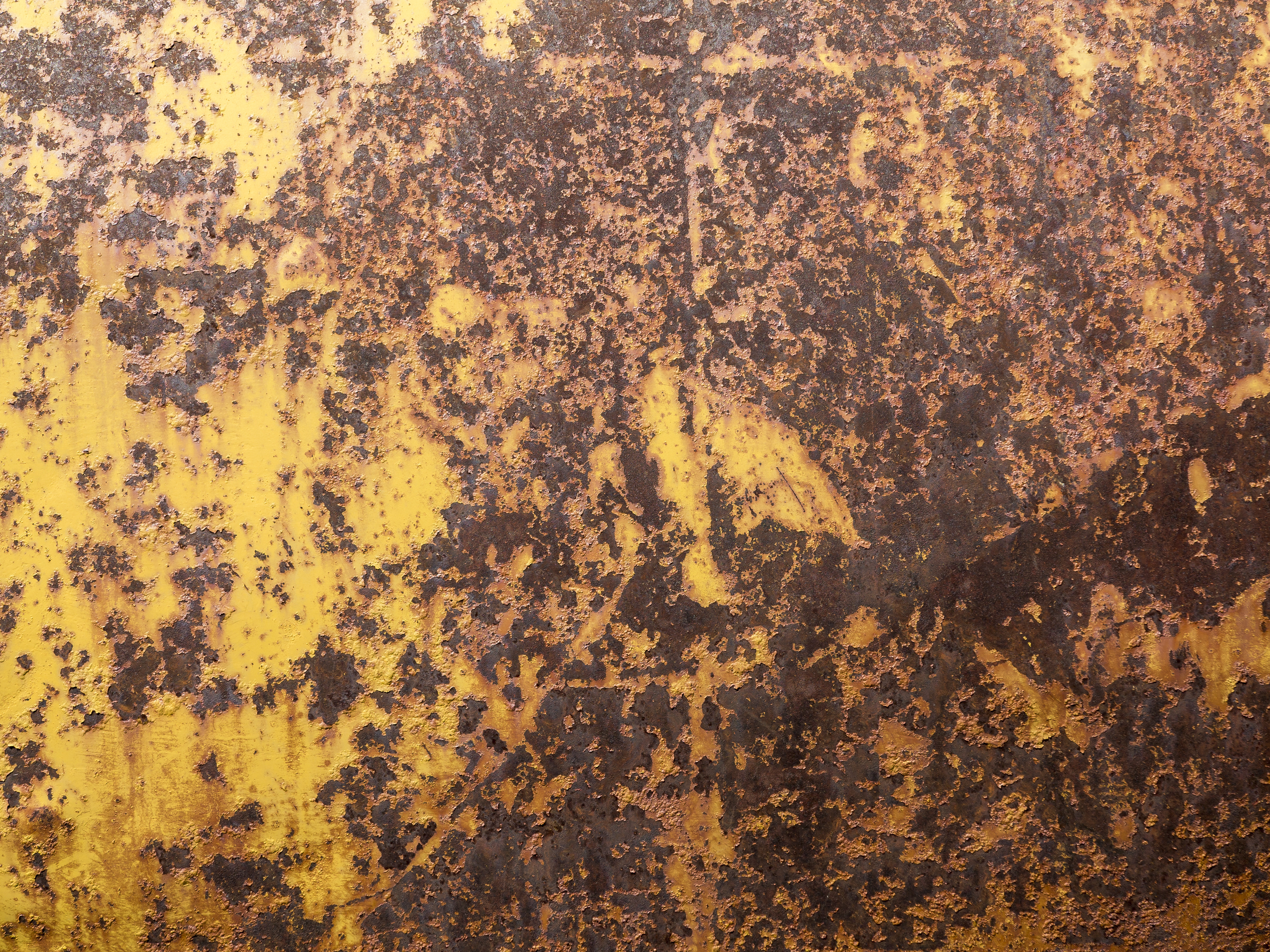 Texture : Canada Day Weekend 2013 : Misc Vehicles [2 of 23]