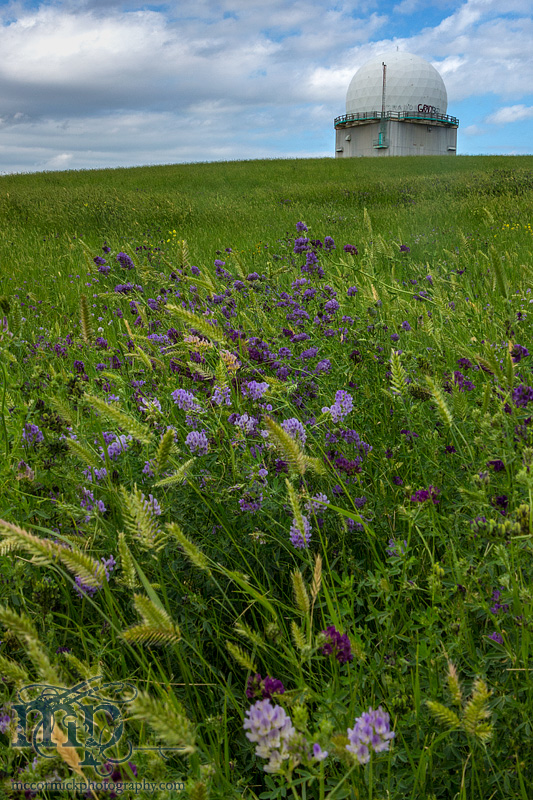 Alsask Abandoned Radar Dome : Side 2