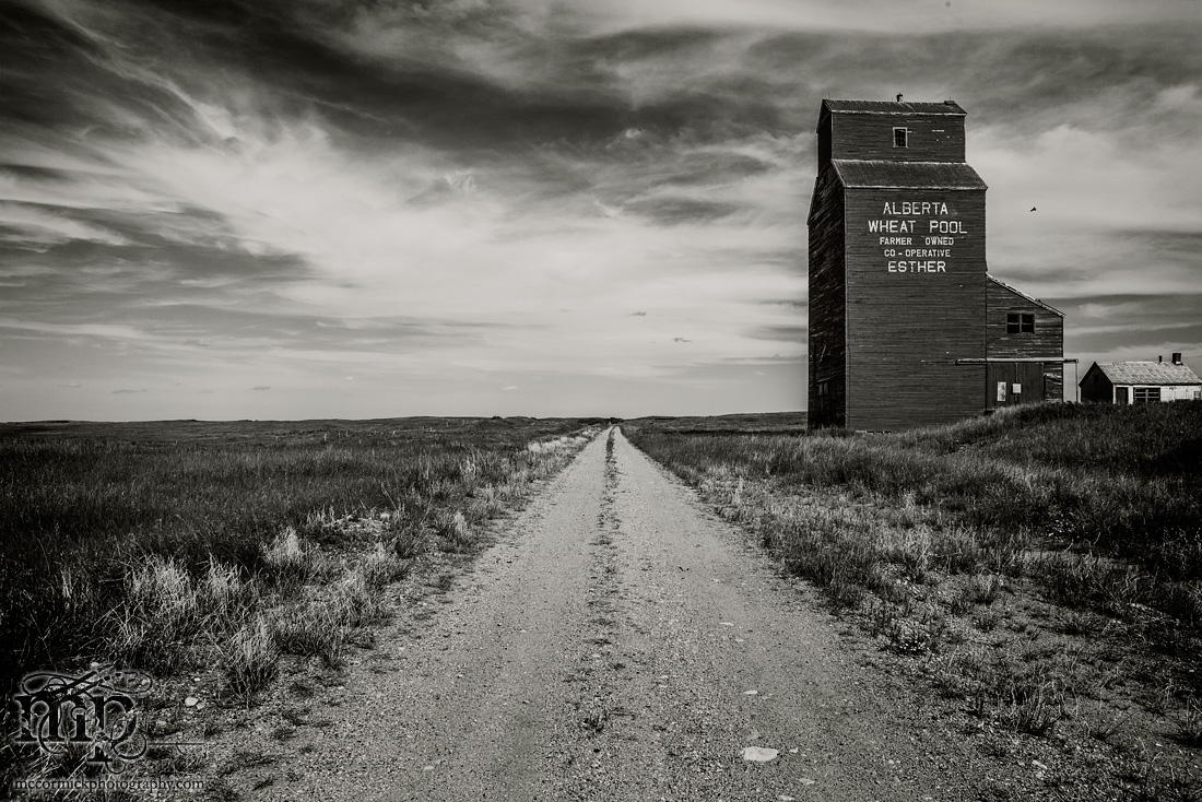 Esther Elevator : 2013 Revisit : The Back Way