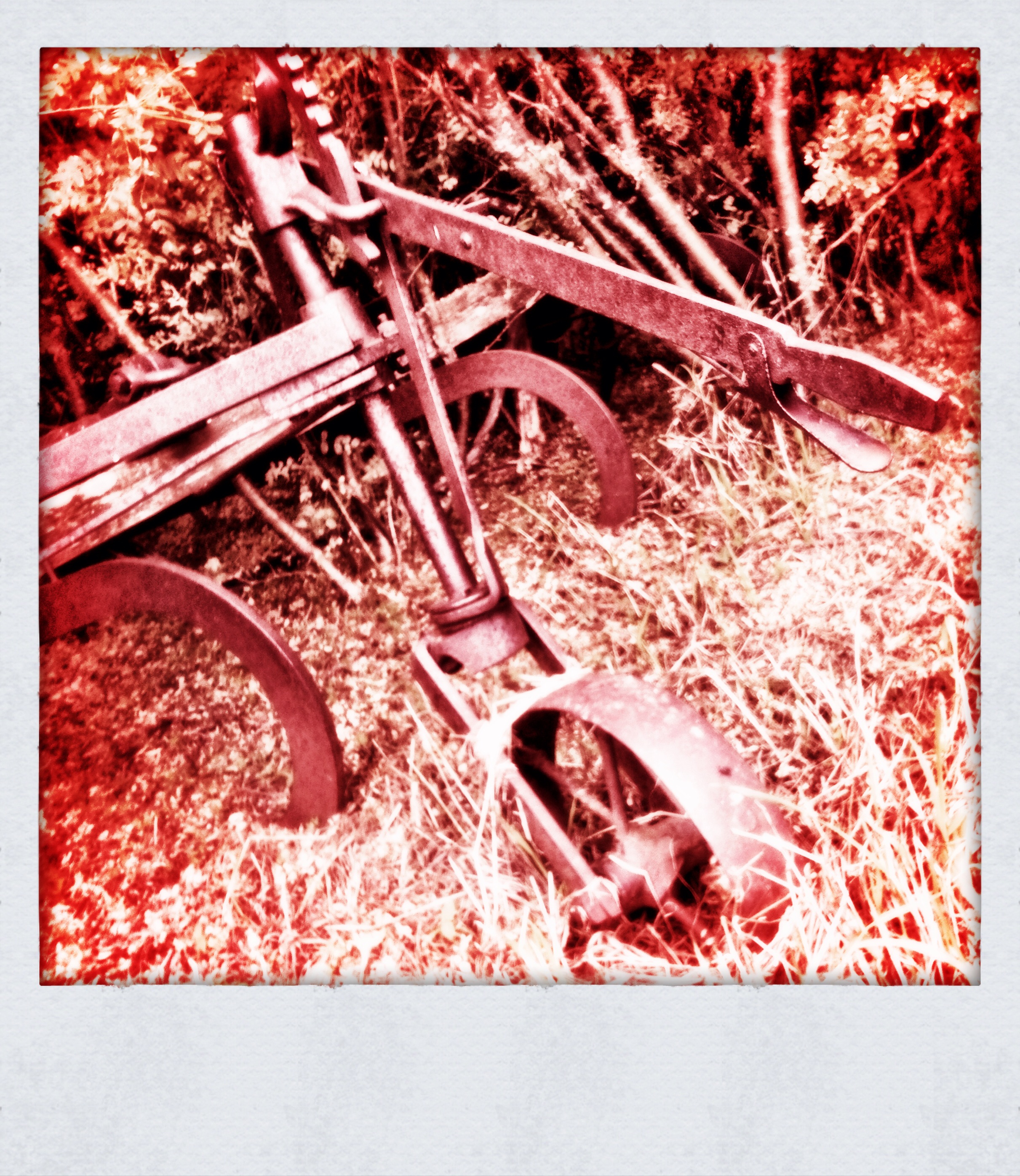 Handicapped Parking