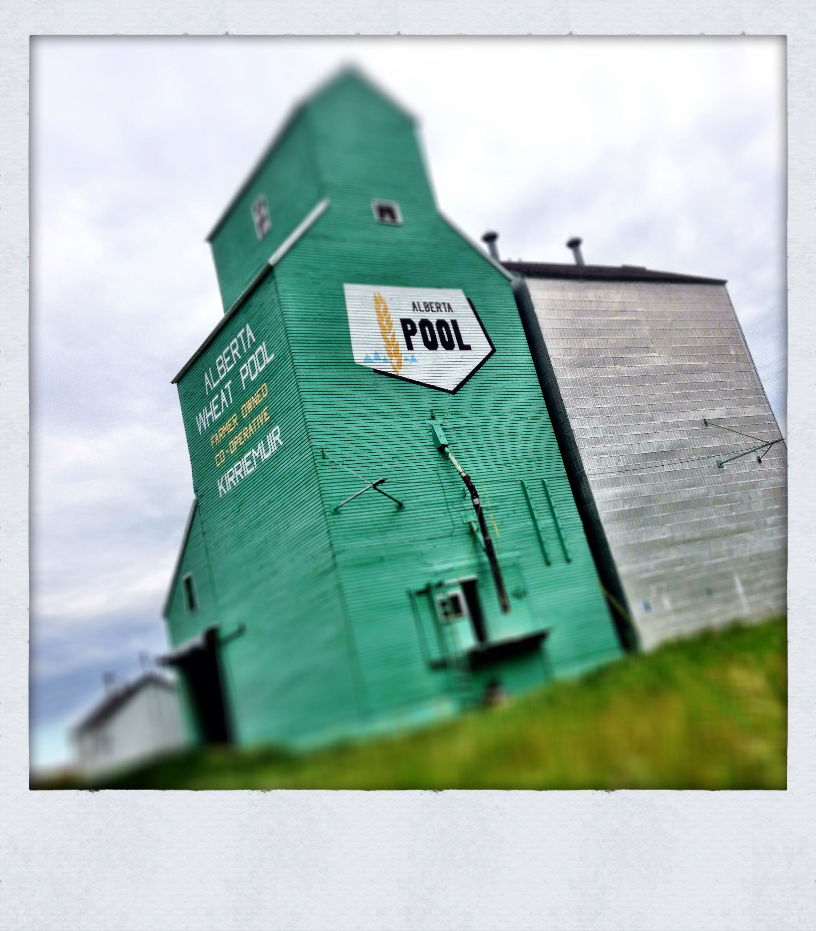 Kirriemuir Elevator, July 2013 [7 of 7]
