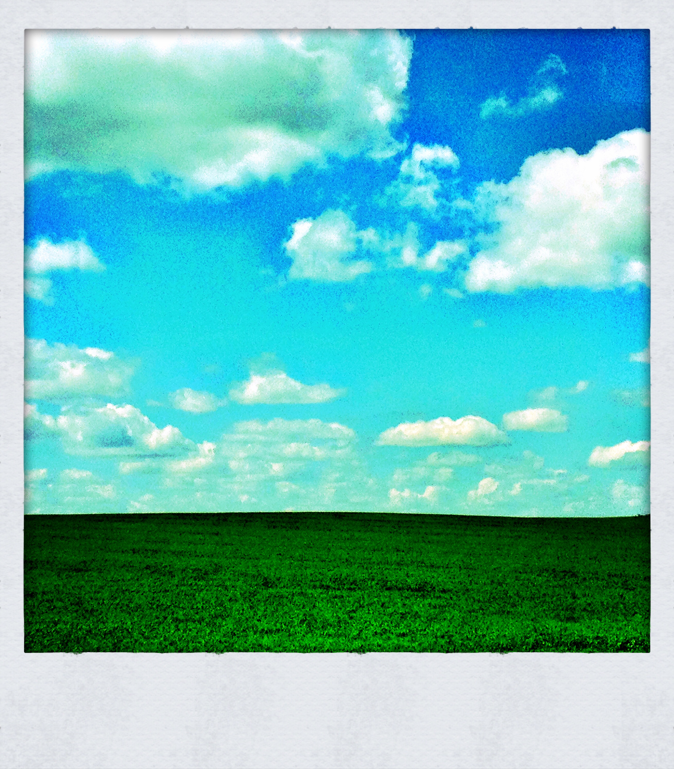 East of Luseland SK : Green Velvet
