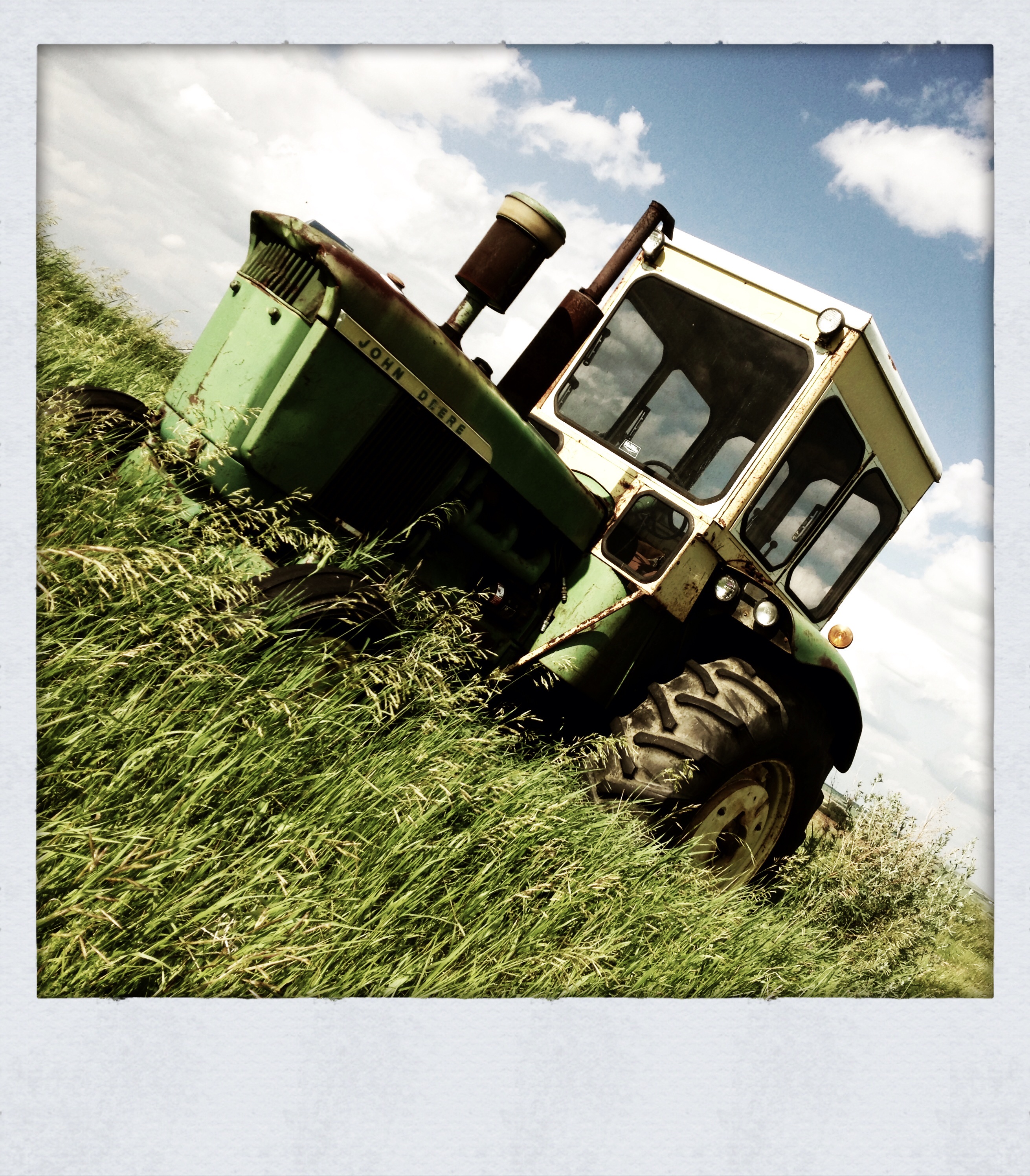 Bodo AB : Deere in the Field [2 of 3]