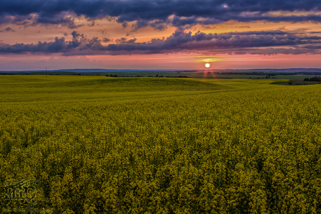 Sunset, Jul 08, 2013 [1 of 2]