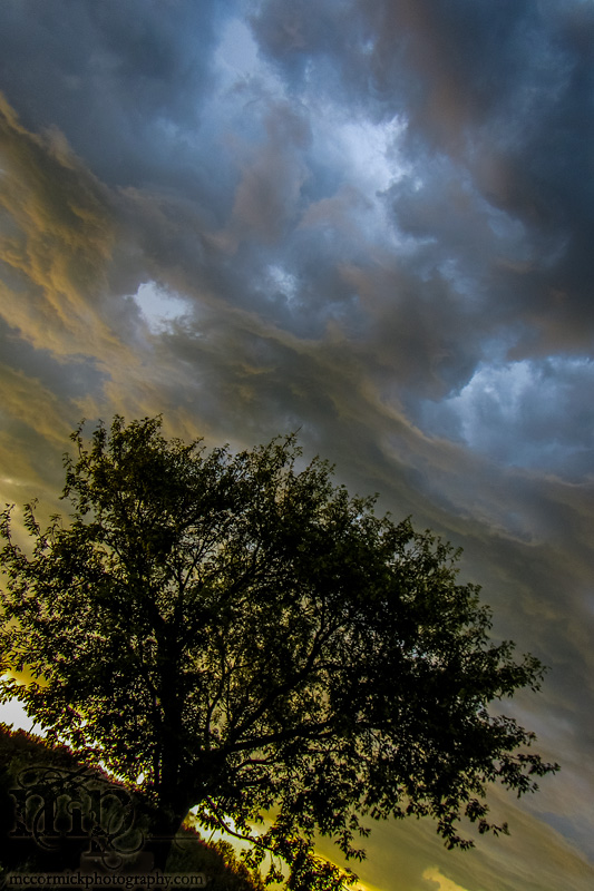 Storm Warning : 2013-07-11 : The Old Maple