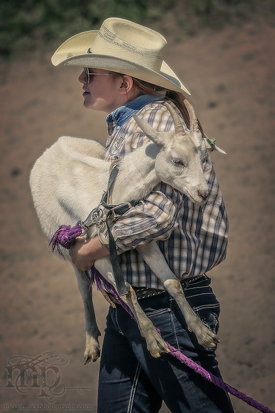 Gooseberry Lake : 4-H Rodeo 2013 : Goats, Delivered Fresh