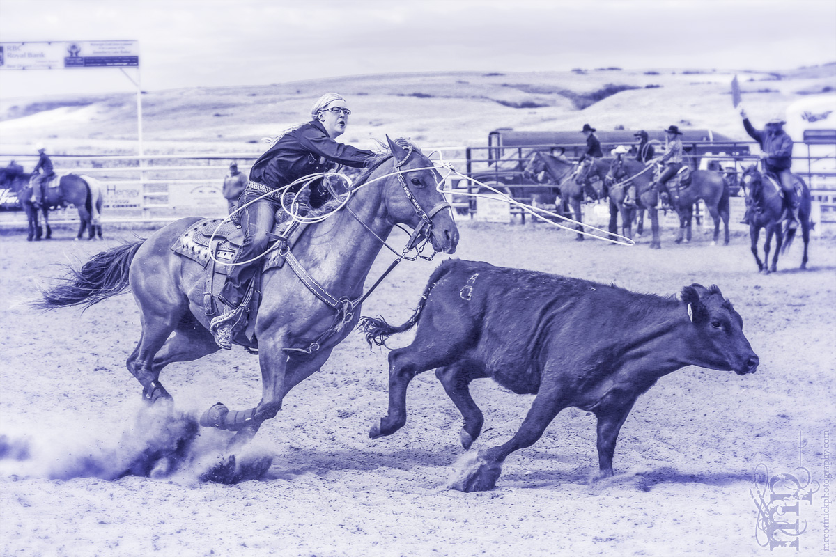 Gooseberry Lake : 4-H Rodeo 2013 : Des : Near Miss
