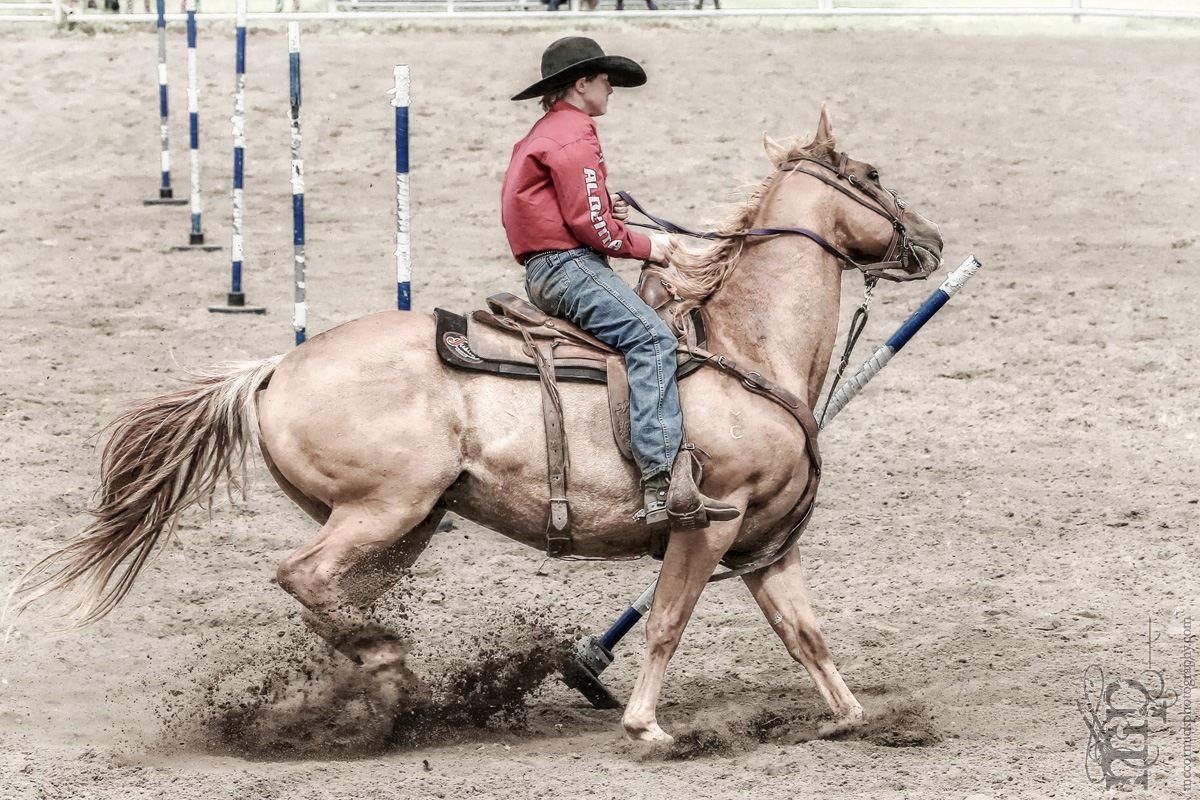 Gooseberry Lake : 4-H Rodeo 2013 : Wyatt : No Time
