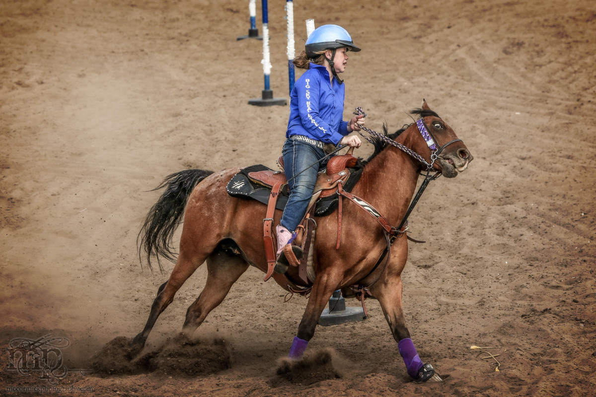 Gooseberry Lake : 4-H Rodeo 2013 : Vi Coactus