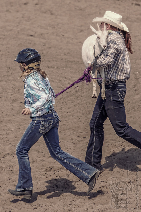 Gooseberry Lake : 4-H Rodeo 2013 : They'll Get Your Goat