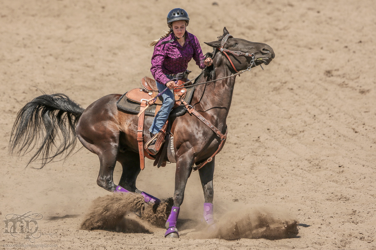 Gooseberry Lake : 4-H Rodeo 2013 : Stamp of Disapproval