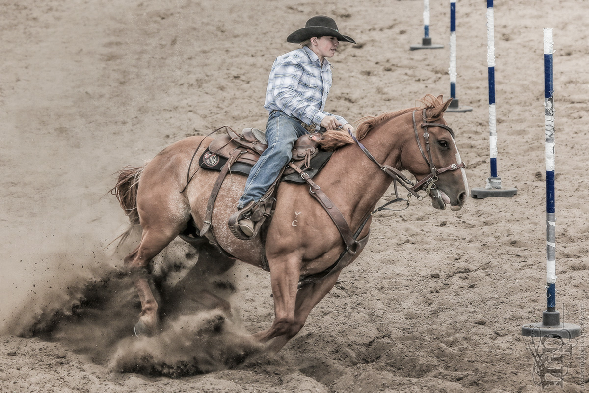 Gooseberry Lake : 4-H Rodeo 2013 : Churned Dirt