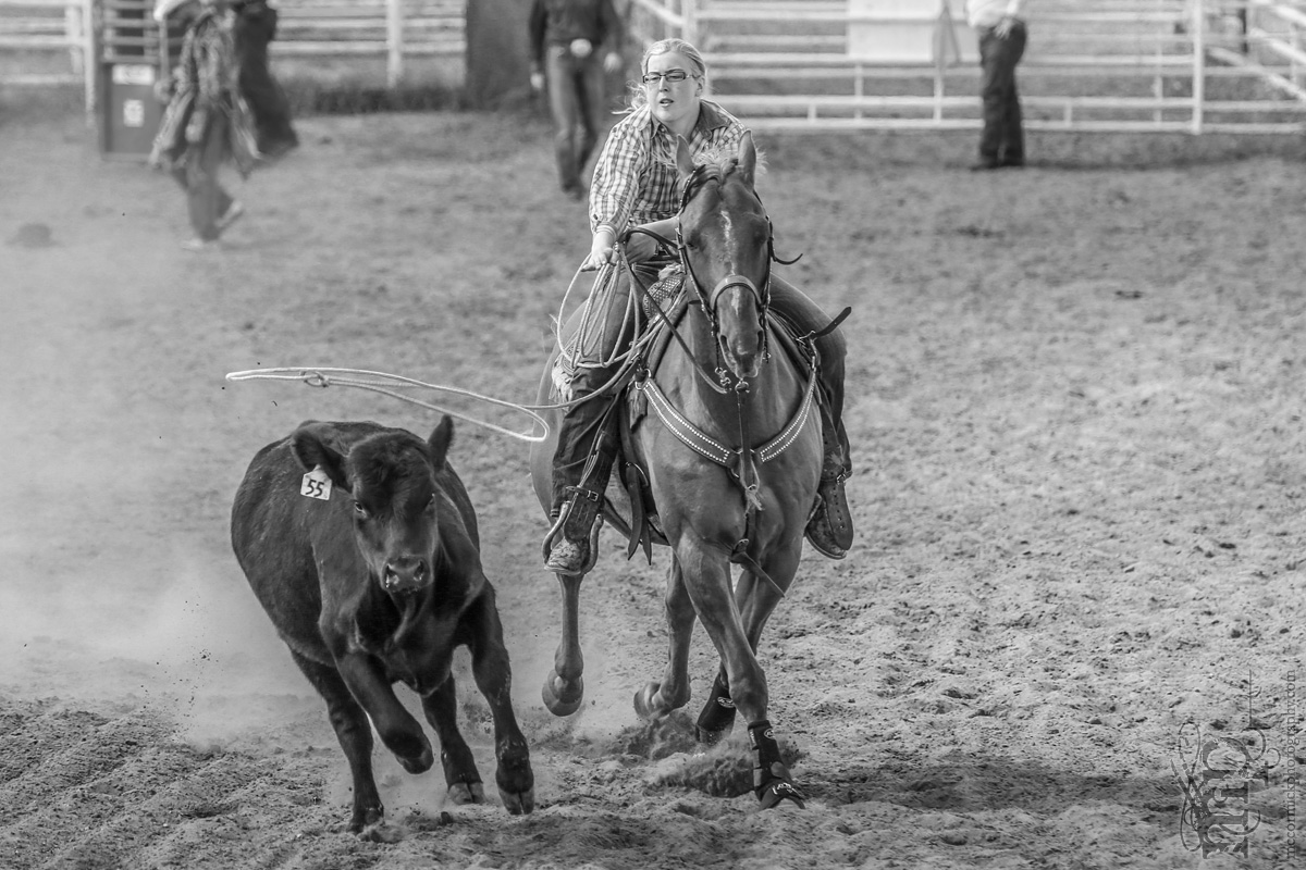 Gooseberry Lake : 4-H Rodeo 2013 : Des : Lasso You